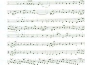 melodia-da-primavera-16