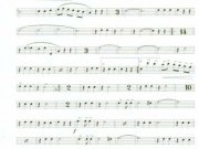 melodia-da-primavera-48