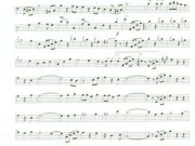 melodia-da-primavera-6