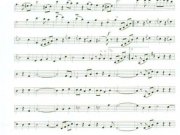 melodia-da-primavera-9