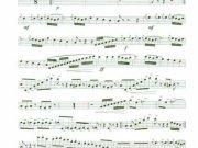 sinfonia-triunfal-12