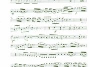 sinfonia-triunfal-21