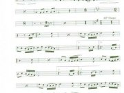 sinfonia-triunfal-25