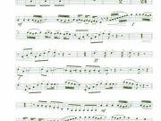 sinfonia-triunfal-27
