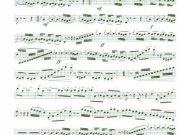 sinfonia-triunfal-6