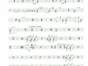 sinfonia-triunfal-61