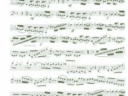 sinfonia-triunfal-9